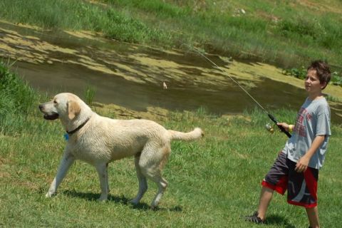 dog and boy will fish.jpg